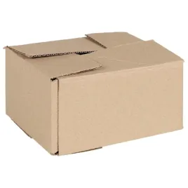 pudelko-skladane-50-szt-naturalny-20-x-15-x-10-cm-tektura