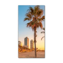 foto-obraz-do-sypialni-60x120-cm-palmy-barcelona