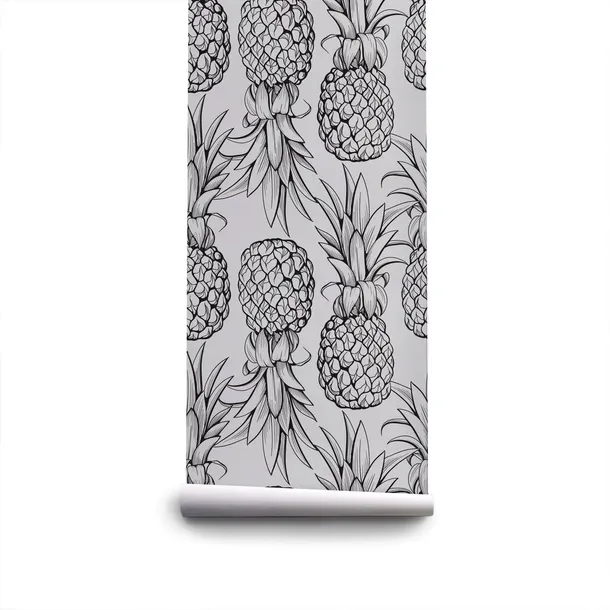 tapeta-scienna-rysunkowe-kontury-ananasa-250x250cm-stan-nowy