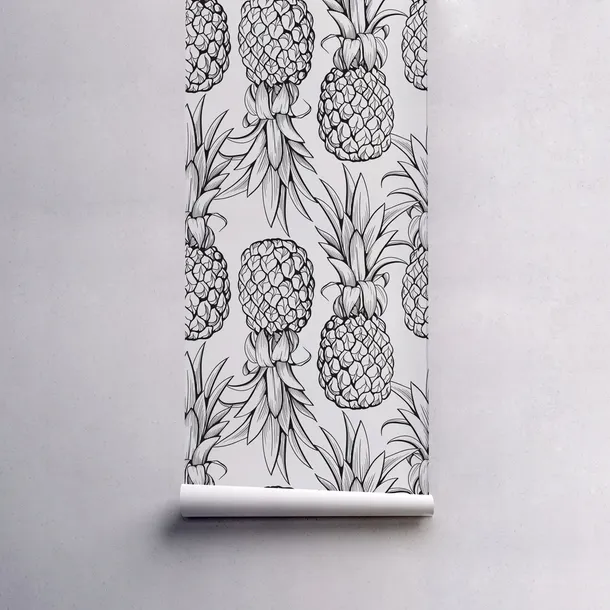 tapeta-scienna-rysunkowe-kontury-ananasa-250x250cm-gama-kolorystyczna-wielokolorowe