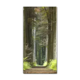 foto-obraz-na-szkle-na-sciane-60x120-lesny-szlak