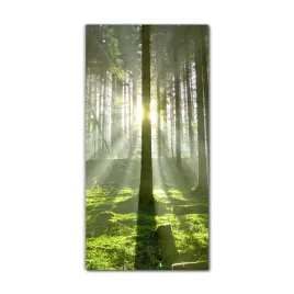 obraz-szklany-scienny-do-kuchni-60x120-las-slonce