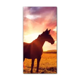 foto-obraz-na-szkle-do-kuchni-60x120-krajobraz-kon