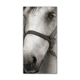 foto-obraz-na-szkle-do-kuchni-60x120-kon-zwierze
