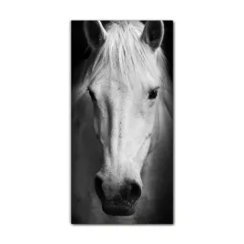 foto-obraz-na-szkle-na-sciane-60x120-ogier-bialy