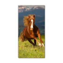 obraz-na-szkle-na-sciane-60x120-kon-grzywa-galop