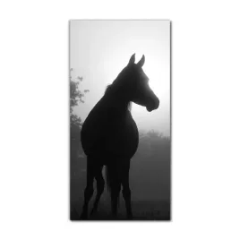 foto-obraz-na-szkle-na-sciane-60x120-kon-arabski