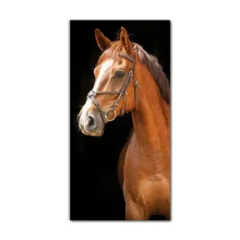 obraz-szklany-grafika-do-salonu-60x120-kon-zwierze