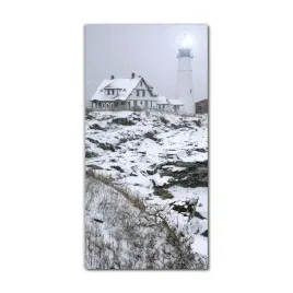 foto-obraz-szklany-do-salonu-60x120-portland-zima
