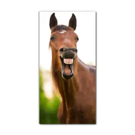 obraz-szklany-grafika-60x120-zwierze-brazowy-kon