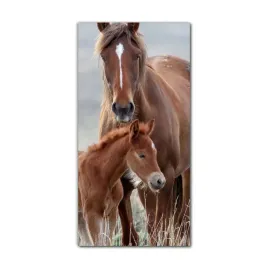 obraz-na-szkle-do-kuchni-60x120-dzikie-konie-trawa