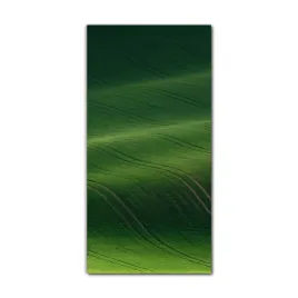 foto-obraz-na-szkle-na-sciane-60x120-wiosna-natura