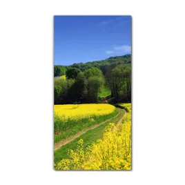foto-obraz-na-szkle-nowoczesny-60x120-wies-wiosna