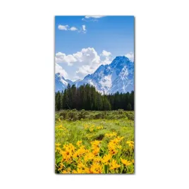 foto-obraz-szklany-do-salonu-60x120-pasmo-gorskie