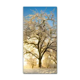 foto-obraz-scienny-grafika-60x120-zima-krajobraz