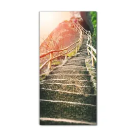 foto-obraz-na-szkle-na-sciane-60x120-gorskie-lasy