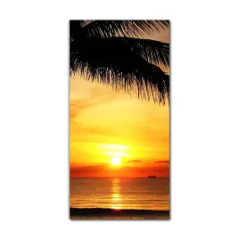 foto-obraz-szklany-do-salonu-60x120-floryda-ocean