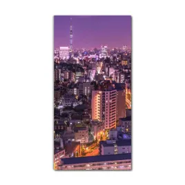 obraz-na-szkle-nowoczesny-60x120-budynek-japonia
