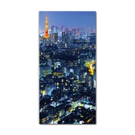 foto-obraz-scienny-grafika-60x120-tokio-noc-miasto