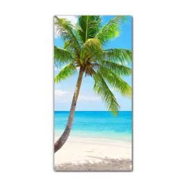 foto-obraz-na-szkle-do-kuchni-60x120-plaza-kokosy
