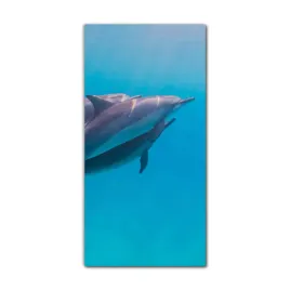 foto-obraz-scienny-grafika-60x120-delfin-zwierze