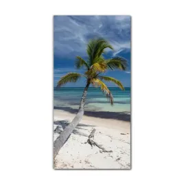 foto-obraz-na-szkle-do-kuchni-60x120-kokosy-plaza