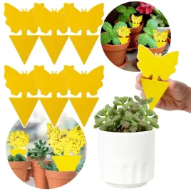 zolte-lepy-do-doniczek-ziemiorki-owady-10szt-motyl-eko