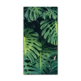 foto-obraz-na-szkle-nowoczesny-60x120-las-monstera