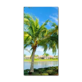 foto-obraz-na-szkle-na-sciane-60x120-floryda-palmy