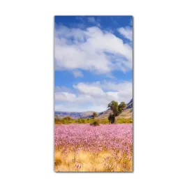 obraz-na-szkle-do-kuchni-60x120-australia-kwiaty