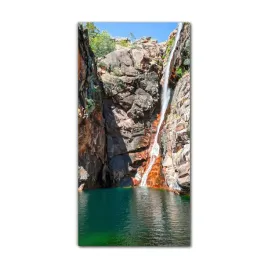 foto-obraz-na-szkle-do-kuchni-60x120-kakadu-natura
