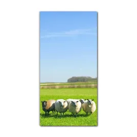 obraz-szklany-scienny-do-kuchni-60x120-owce-trawa