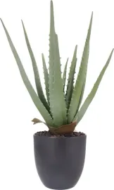 roslina-sztuczna-aloes-w-doniczce-45-cm-wysokosci-zielona-jak-zywa-ozdoba
