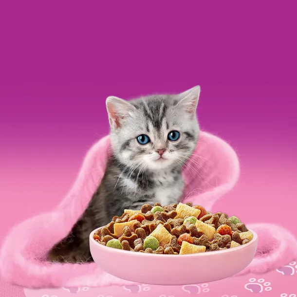 whiskas-sucha-junior-kurczak-14kg-wiek-zwierzecia-kocieta-i-mlode-koty