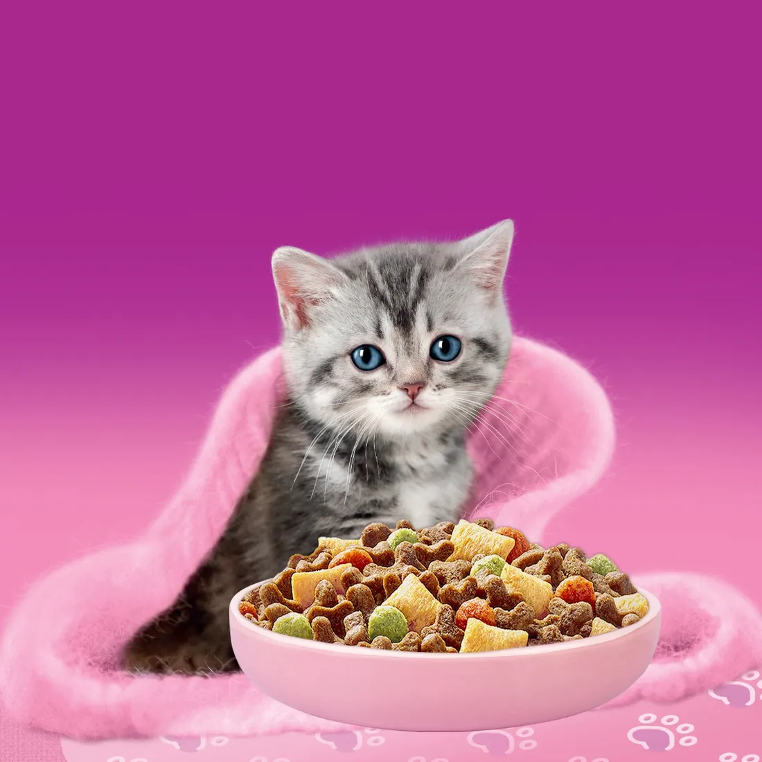 whiskas-sucha-junior-kurczak-14kg
