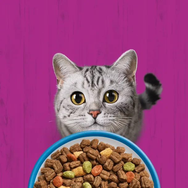 whiskas-sucha-tunczyk-14kg-wiek-zwierzecia-koty-dorosle