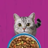 whiskas-sucha-tunczyk-14kg-wiek-zwierzecia-koty-dorosle