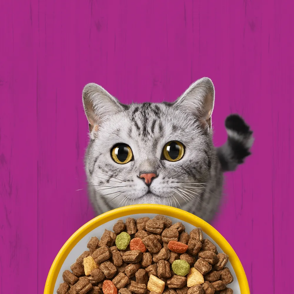 whiskas-sucha-kurczak-14kg