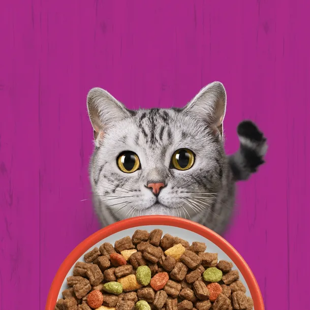 whiskas-sucha-wolowina-14kg-marka-whiskas