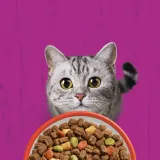 whiskas-sucha-wolowina-14kg-marka-whiskas