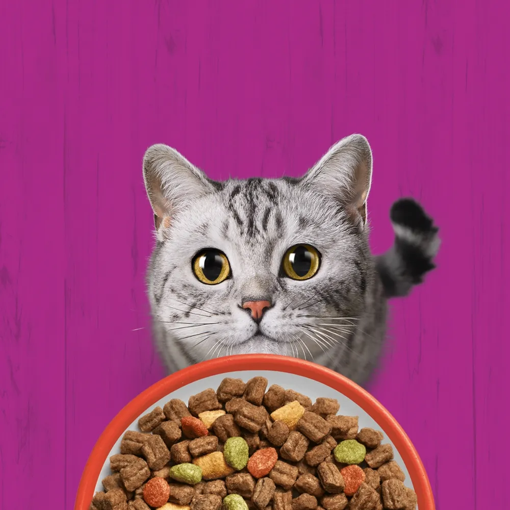 whiskas-sucha-wolowina-14kg-marka-whiskas