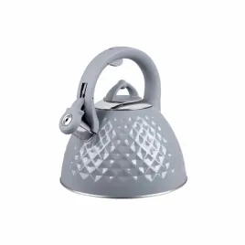 czajnik-promis-tmc14g-promis-3264-5902497553432