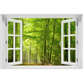 okno-naklejka-scienna-lisciasty-las-150x100