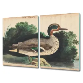 deska-szklana-2x40x52-cm-na-prezent-ptak-rysunek