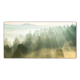 promienie-slonca-mgla-100x50-panel-szklo-do-kuchni