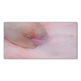 flaming-ptak-zwierze-100x50-szklo-hartowane-panel