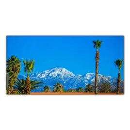 los-angeles-snieg-100x50-panel-szklany-do-kuchni