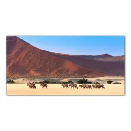 zwierzeta-safari-natura-100x50-lacobel-do-kuchni
