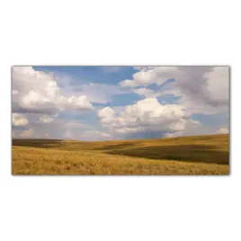 pole-trawy-laka-natura-100x50-cm-panele-do-kuchni