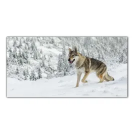 wilk-zwierze-las-100x50-panele-szklane-do-kuchni